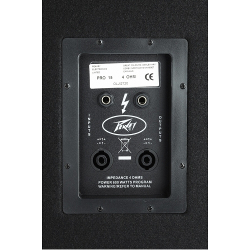 Peavey pro cheap 15 speakers